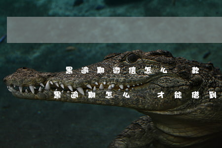 雙黑逾期微信怎么貸款現(xiàn)金 雙黑逾期怎么樣才能借到錢