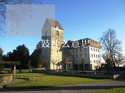 雛妓什么意思