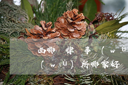 雞西哪個律師事務(wù)所好(寶雞律師事務(wù)所哪家好)