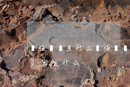 離任審計是什么,離任審計報告的內(nèi)容是什么