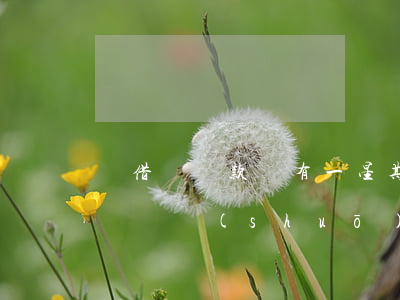 離借唄還款還有一星期打電話提醒-借唄打電話說(shuō)還款日快到了