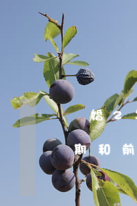 離婚2年前夫信用卡卡逾期(離婚后信用卡逾期和前妻有關(guān)系嗎)