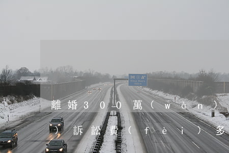 離婚300萬(wàn)的房產(chǎn)訴訟費(fèi)多少(200萬(wàn)房產(chǎn)訴訟費(fèi)收費(fèi)標(biāo)準(zhǔn))
