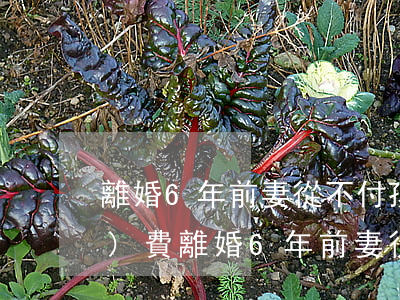 離婚6年前妻從不付孩子的撫養(yǎng)費(離婚6年前妻從不付孩子的撫養(yǎng)費)