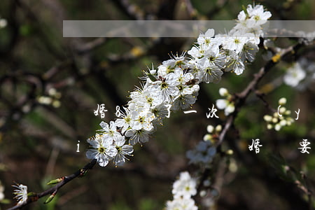 離婚8年了一次撫養(yǎng)費(fèi)還沒給過(離婚沒要撫養(yǎng)費(fèi)七年了還能要嗎)
