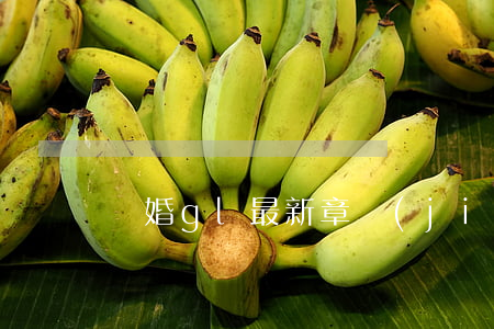 離婚gl最新章節(jié)