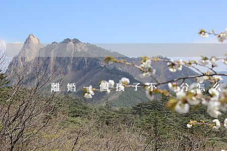 離婚一個孩子不夠分怎么辦