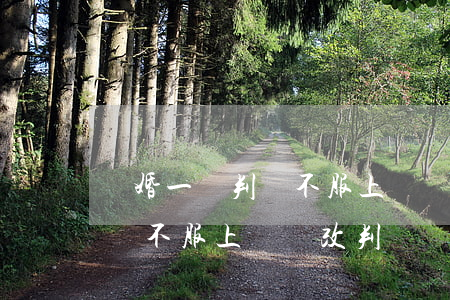 離婚一審判離不服上訴會改判嗎(離婚一審判離不服上訴會改判嗎)