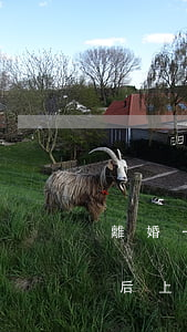 離婚一審宣判后上訴后再開庭(離婚一審宣判后上訴后再開庭)