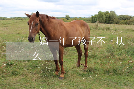離婚一年了孩子不給扶養(yǎng)費怎么辦