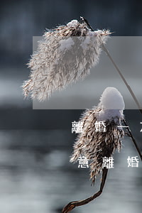 離婚一方不同意可以離嗎(離婚如果一方不同意離婚怎么辦)