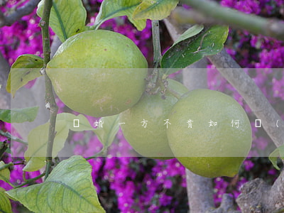 離婚一方不肯如何強(qiáng)制離婚
