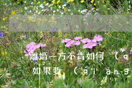 離婚一方不肯如何強(qiáng)制離婚，如果要強(qiáng)制離婚，一方不離怎么辦