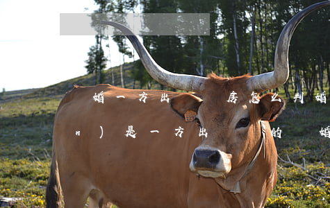 離婚一方出錢買房怎么判(婚后房產(chǎn)是一方出錢買的離婚怎么辦)