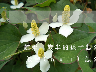 離婚一歲半的孩子怎么判(孩子一周歲離婚一般會(huì)怎么判給怎么判)
