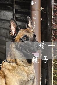 離婚一邊一個小孩撫養(yǎng)費(離婚孩子歸一方,撫養(yǎng)費怎么算)