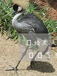 離婚丈夫算計(jì)我(老公太計(jì)較錢了,想離婚)