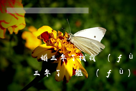離婚三年了找我復(fù)婚該怎么辦(離婚三年了還能復(fù)婚嗎)