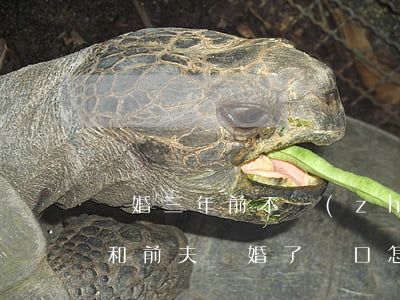 離婚三年前不準(zhǔn)前夫戶口遷走(和前夫離婚了戶口怎么遷出來)