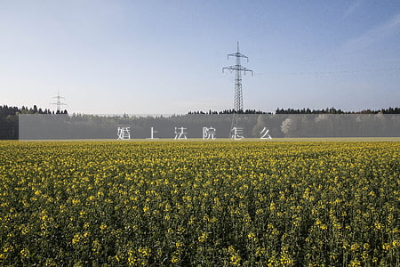 離婚上法院怎么辦