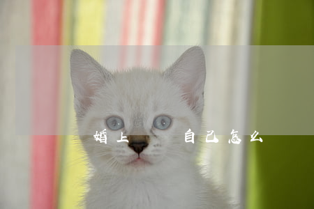 離婚上訴書自己怎么寫(離婚上訴書的格式)
