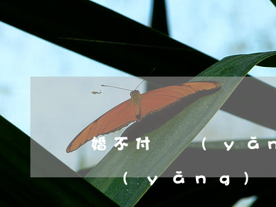 離婚不付撫養(yǎng)費(fèi)不贍養(yǎng)(離婚后不給撫養(yǎng)費(fèi),老了要孩子贍養(yǎng))