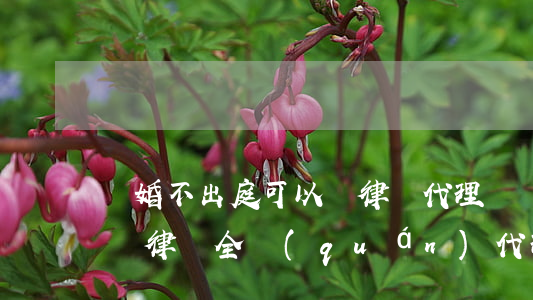 離婚不出庭可以請律師代理嗎(離婚出庭可以讓律師全權(quán)代理嗎)
