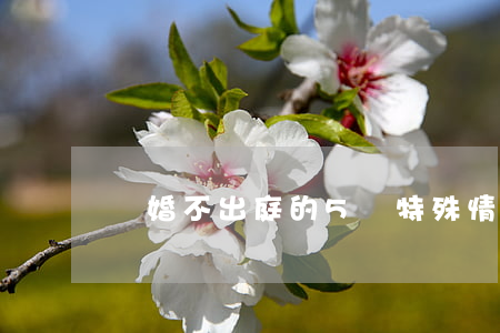 離婚，不出庭的5種特殊情形+4種后果