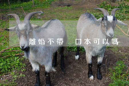 離婚不帶戶口本可以嗎