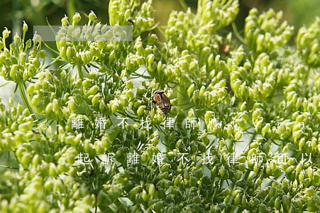 離婚不找律師應(yīng)該到哪里起訴(起訴離婚不找律師可以嗎?)