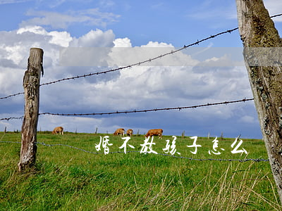 離婚不教孩子怎么辦