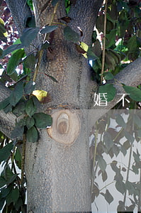 離婚不給孩子學費怎么辦