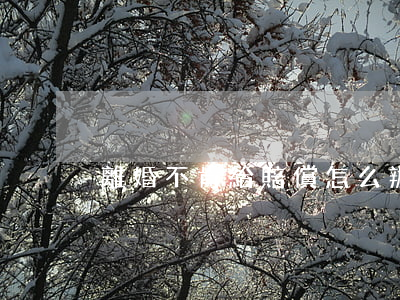離婚不肯給賠償怎么辦
