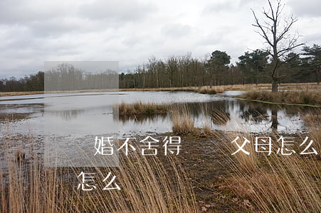 離婚不舍得離開父母怎么辦(父母不支持離婚怎么辦)