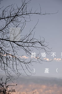 離婚不要房屋繼承怎么寫(繼承的財(cái)產(chǎn)離婚怎么辦)