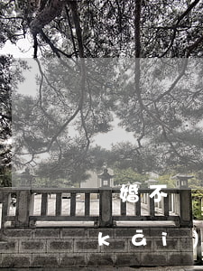 離婚不請(qǐng)律師可以自己去開(kāi)庭嗎(起訴離婚讓律師去,自己不去法庭可以嗎?)