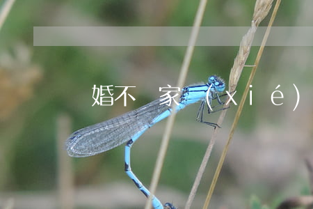 離婚不離家協(xié)議范本