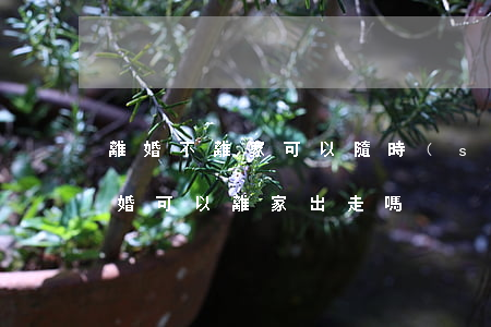 離婚不離家可以隨時(shí)走嗎(離不了婚可以離家出走嗎)