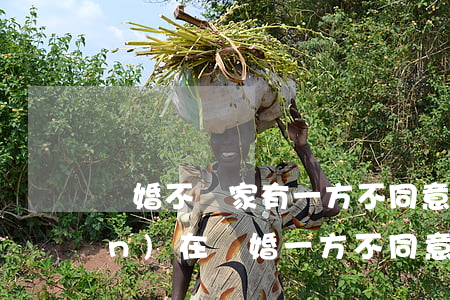 離婚不離家有一方不同意怎么辦(現(xiàn)在離婚一方不同意怎么辦)