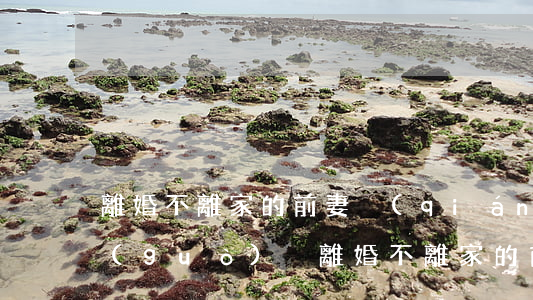 離婚不離家的前妻強(qiáng)迫我過(guò)戶(離婚不離家的前妻強(qiáng)迫我過(guò)戶)
