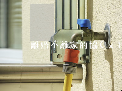 離婚不離家的協(xié)議例子