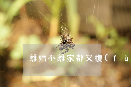 離婚不離家都又復(fù)婚嗎