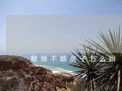 離婚不離房子怎么辦