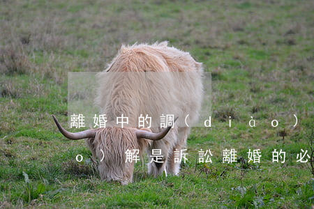 離婚中的調(diào)解程序(調(diào)解是訴訟離婚的必經(jīng)程序)