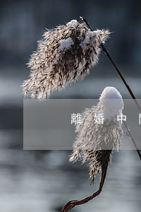 離婚中間撫養(yǎng)費不給怎么辦