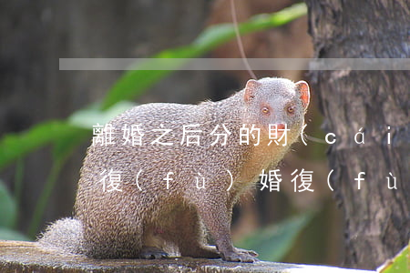 離婚之后分的財(cái)產(chǎn)復(fù)婚(復(fù)婚后原來(lái)離婚財(cái)產(chǎn)分割還算嗎)
