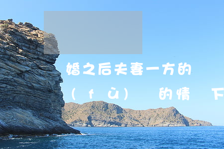 離婚之后夫妻一方的債務(wù)(夫妻雙方負(fù)債的情況下一方要離婚)