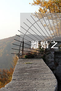離婚之后夫妻共同債務(wù)怎么辦