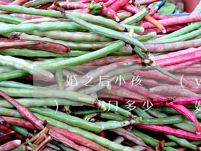 離婚之后小孩撫養(yǎng)費(fèi)一個月多少錢(離婚之后小孩撫養(yǎng)費(fèi)一個月多少錢)