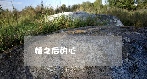 離婚之后的心聲
